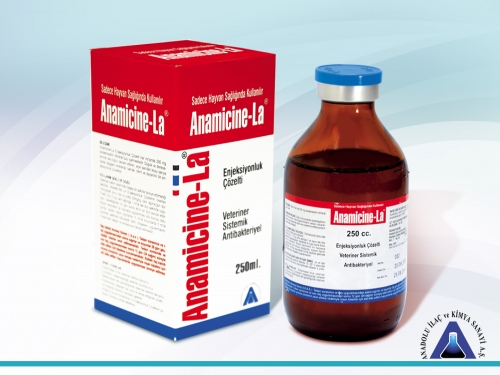 Anamicine-La Inj. Solution 250 mL